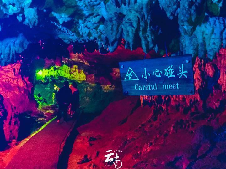 漆黑的森林逃脱