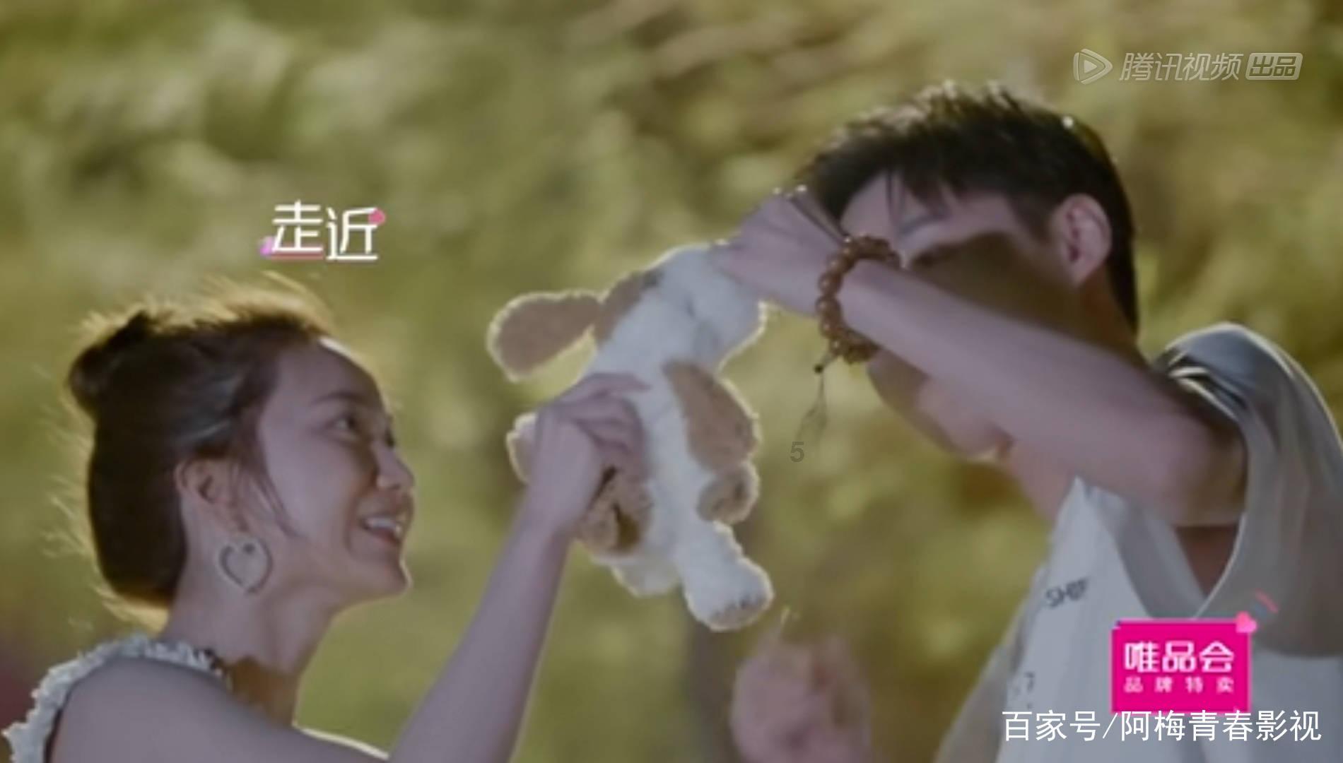 呆萌动物园