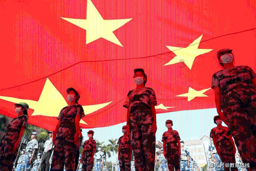 救援达尔马提亚狗